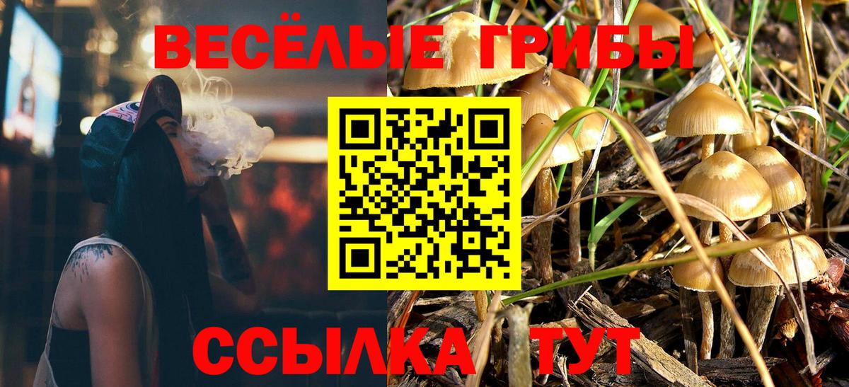 Галлюциногенные грибы GOLDEN TEACHER Псков