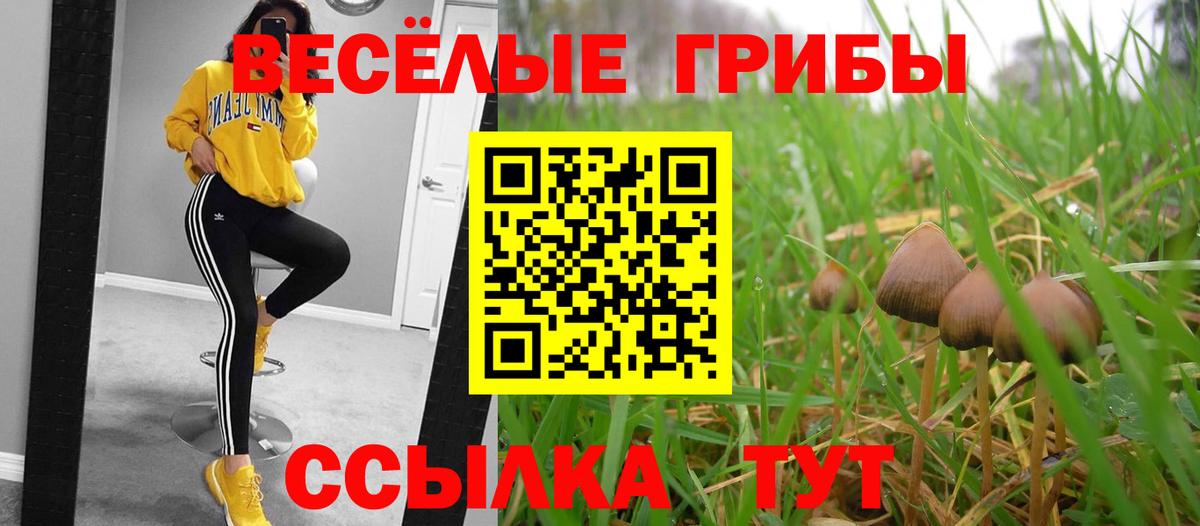 Псилоцибиновые грибы ЛСД  Вход с VPN  Псков 
